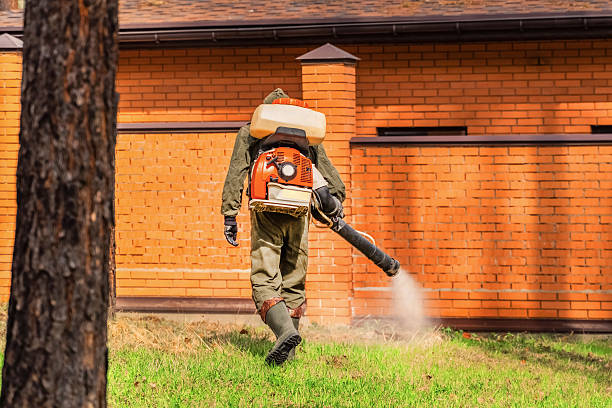 Trusted Rodent Control service in Long Grove, IL - Nex Pest Control
